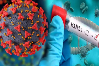 दुर्ग में स्वाइन फ्लू की दस्तक तेज, 5 सितंबर को मिले 7 नए मरीज; एक महीने में 33 केस